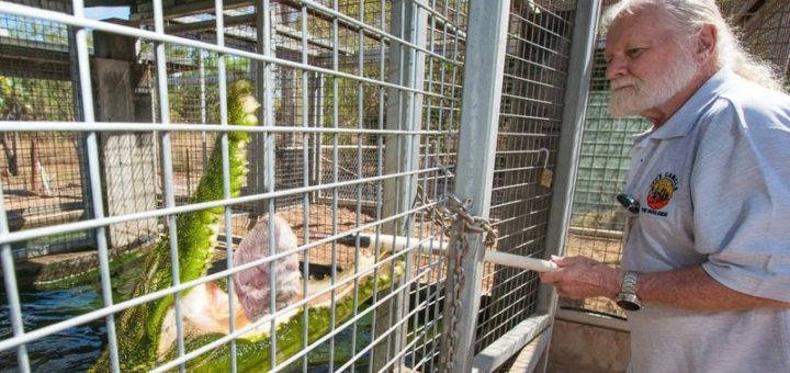 Beli rumah di Australia dapat buaya percuma