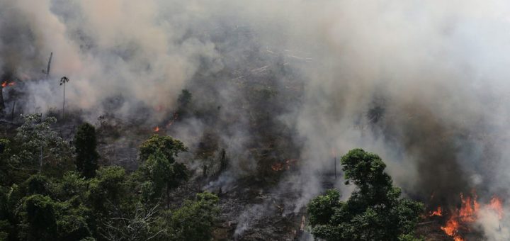 Hutan hujan Amazon terancam