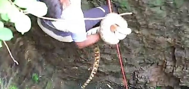 Sukarelawan selamatkan ular sawa terperangkap di dalam perigi