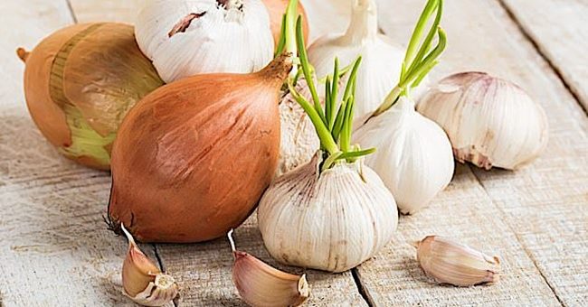 Bawang merah & bawang putih mentah mampu rendahkan risiko kanser payudara