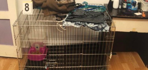 Kes simbah air panas pada budak 5 tahun: Kulitnya jadi kuning, lembap akibat kelecuran