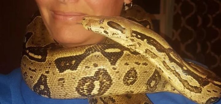 Wanita AS ditemui mati dibelit dalam ‘rumah ular’