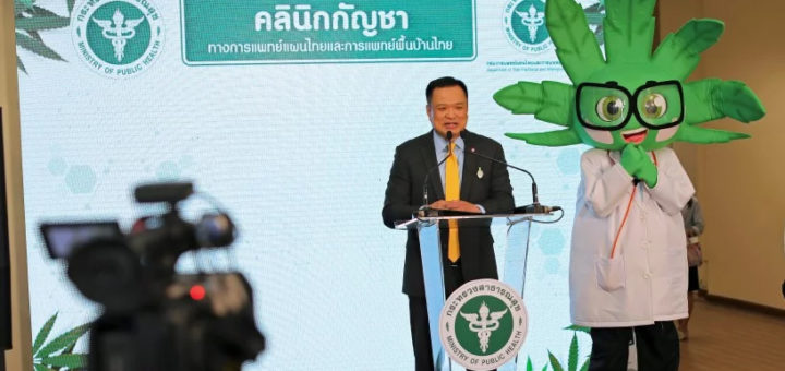 Thailand lancar klinik perubatan tradisional berasaskan kanabis