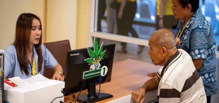 Klinik Thailand beri minyak ganja percuma