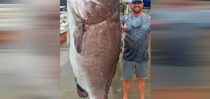 Lelaki Florida tangkap kerapu berusia 50 tahun