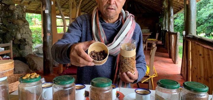 Kopi air liur kelawar digemari di Madagascar