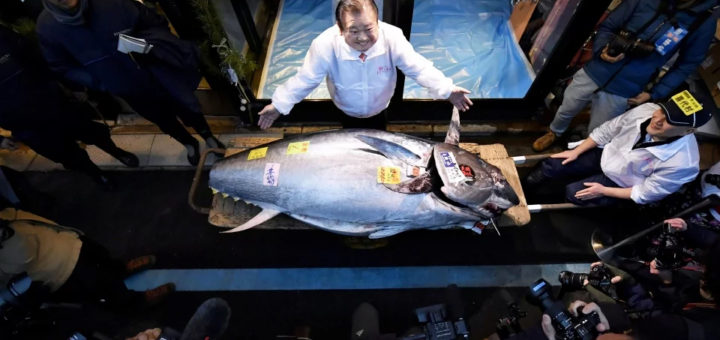 ‘Raja Tuna’ labur SGD.43 juta dapatkan tuna 276 kg