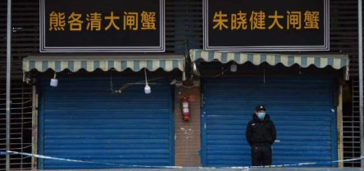 China tawar tunai sebagai insentif hentikan dagangan hidupan liar