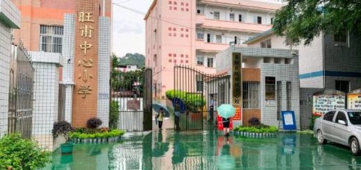 Serangan pisau di sekolah rendah di China, 39 cedera