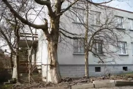 Lelaki menggali dan menyimpan mayat ibunya yang telah di-awet selama 13 tahun di rumah