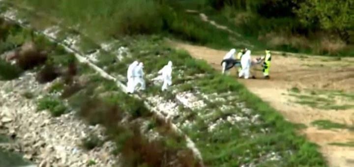 Makhluk seakan Ikan Duyung dikeluarkan dari tasik diPoland