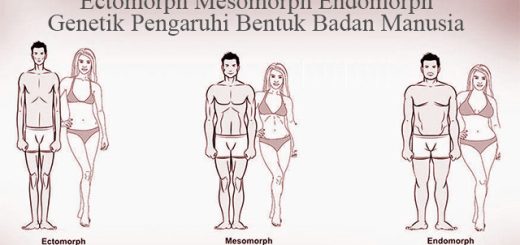 Apakah Jenis Badan Anda?