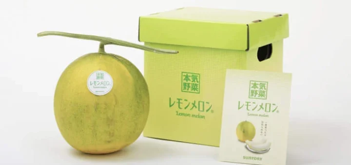 Petani Jepun Hasilkan ‘Lemon Melon’ Masam Manis