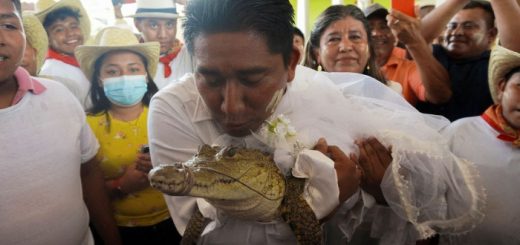 Datuk Bandar mengahwini reptilia seperti buaya yang digelarnya sebagai ‘gadis puteri’