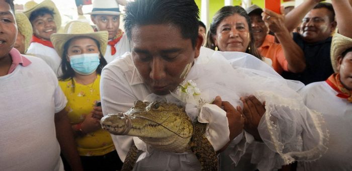 Datuk Bandar mengahwini reptilia seperti buaya yang digelarnya sebagai ‘gadis puteri’