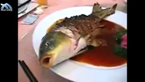 Ikan masih hidup selepas dimasak