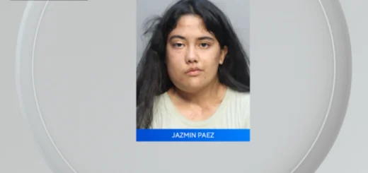 Betul Gila : Wanita ditahan selepas didakwa cuba mengupah pembunuh upahan untuk membunuh anak lelakinya yang berusia 3 tahun