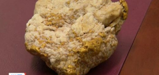 Jumpa ketulan emas bernilai AUD240,000, lelaki ini tiba-tiba kaya